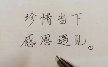 人生若只如初见作文3篇