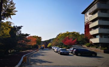 大学校内奖学金申请书7篇