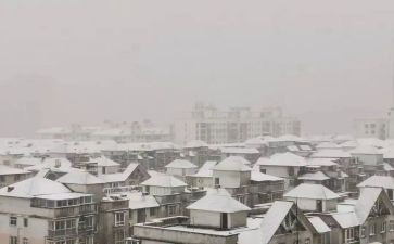 大班下雪了安全教案3篇