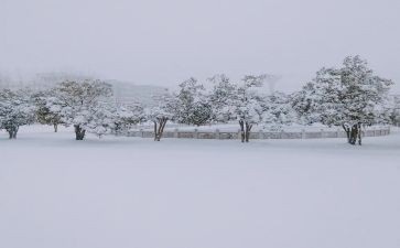 描写下雪的句子8篇