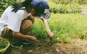 我的学农日记3篇