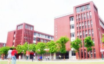 学校财务年终工作总结3篇