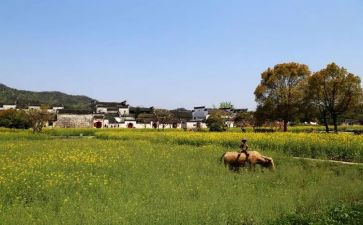 关于大学生求职信范文应届大学生求职信范文3篇