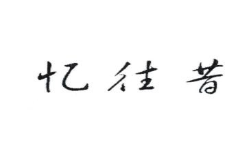 关于难忘的寒假作文合集4篇