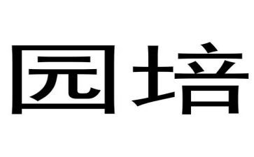 幼儿园培训心得体会8篇