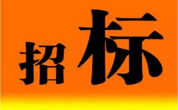 招标代理公司年终总结2篇