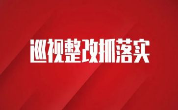 整改报告22篇