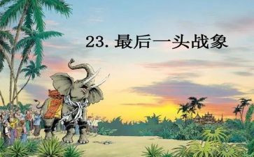 《最后一头战象》读书心得感悟集锦20233篇