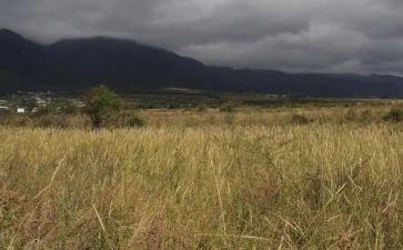 简约商场租赁合同范本7篇